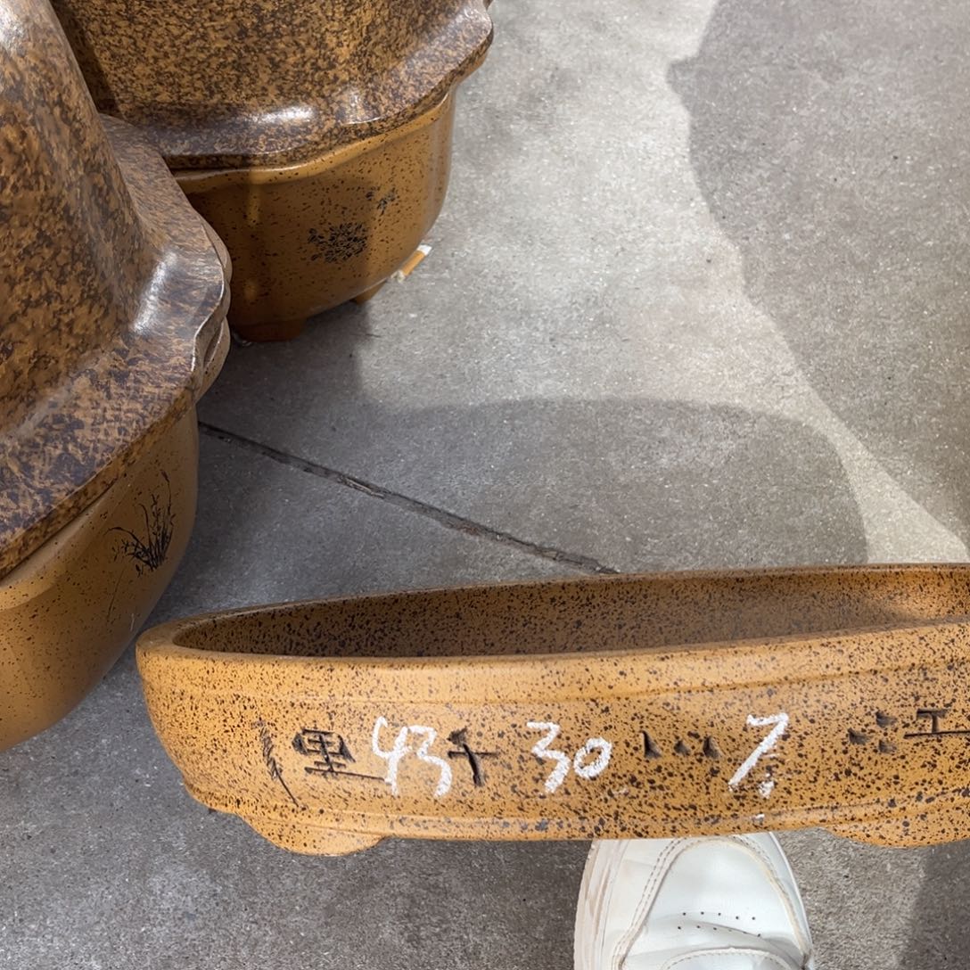 紫砂花盆盆景艺术