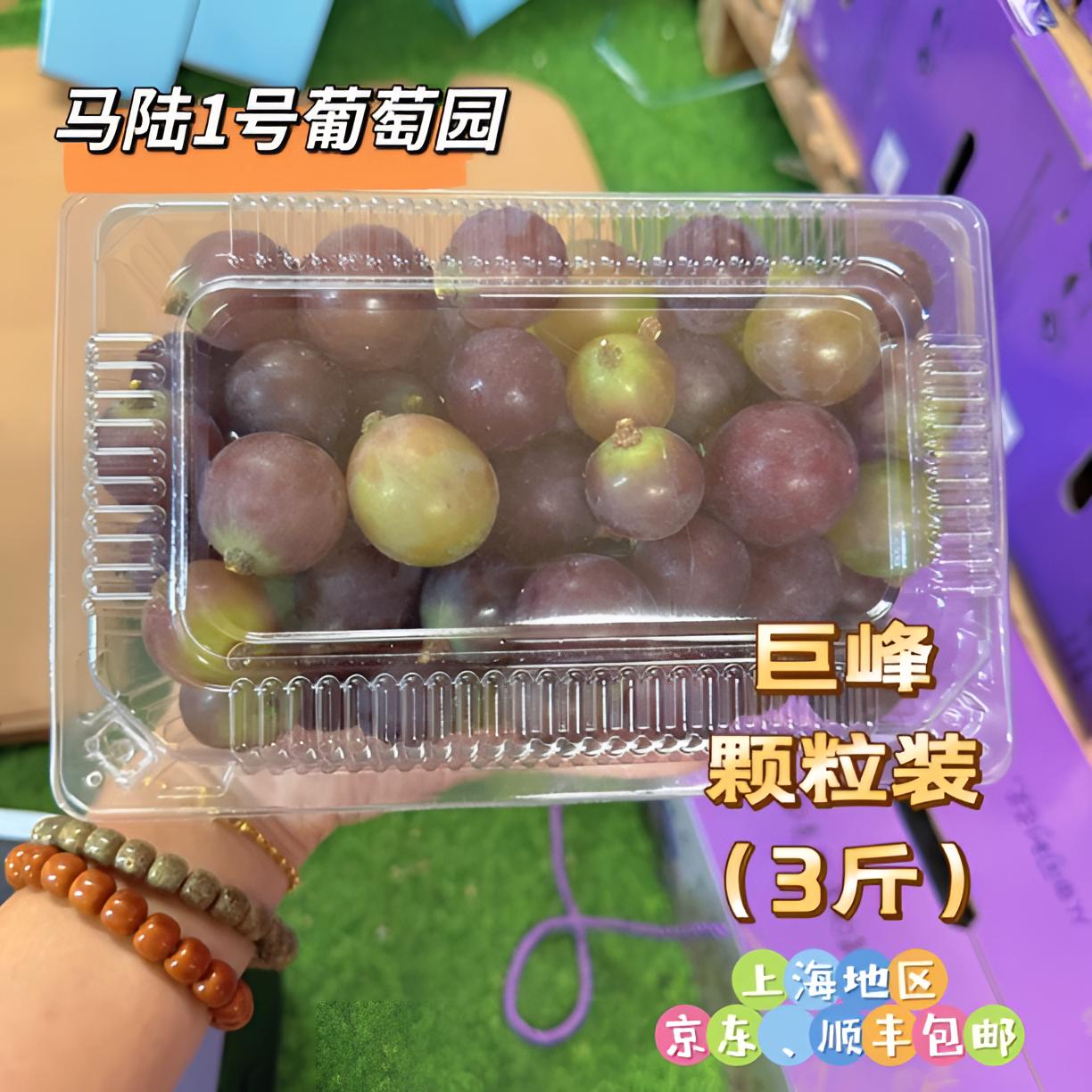马陆1号葡萄园 巨峰葡萄（颗粒装）  净重3斤装  产地直发 新鲜直达