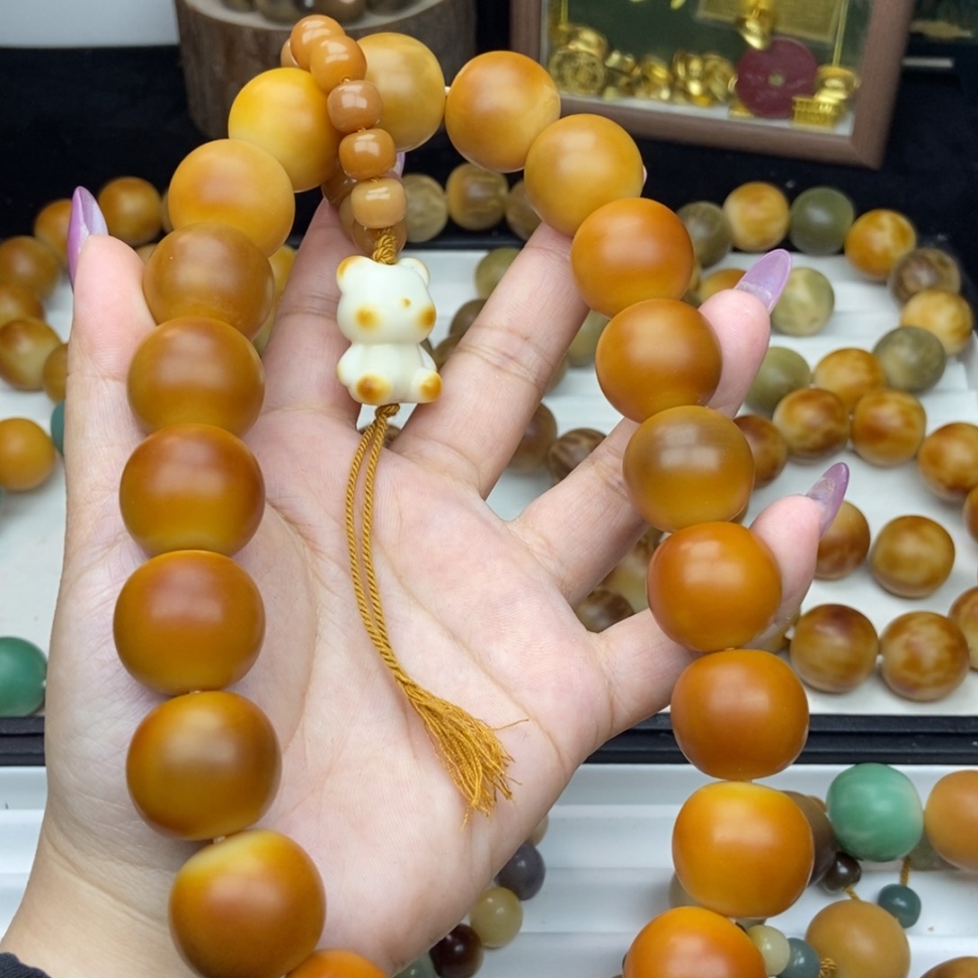 菩提根/象牙果吊坠22 微中大 不退换