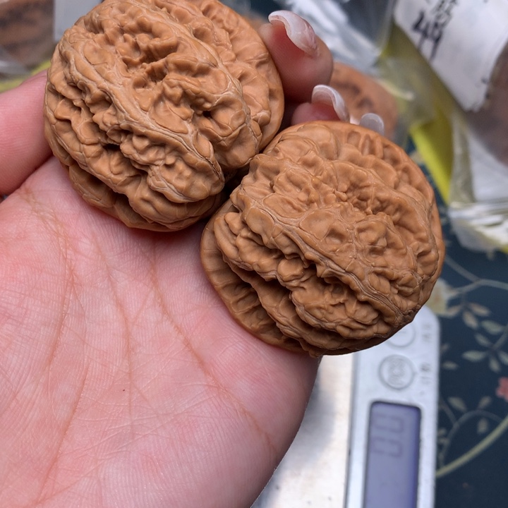 文玩核桃把件44-8527-8