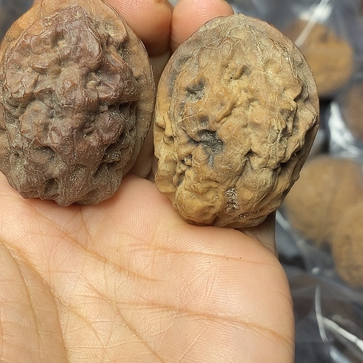 文玩核桃把件云南铁核桃82