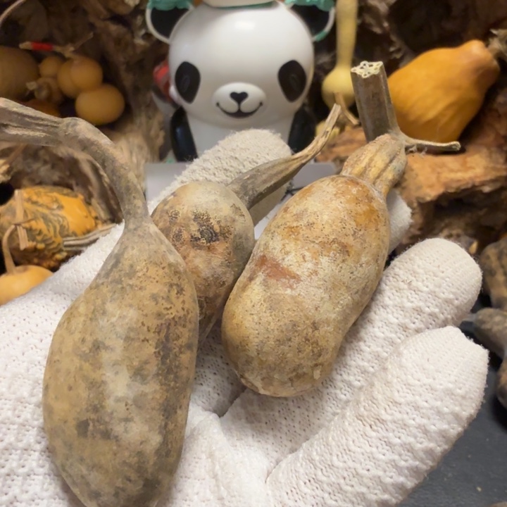 ****姐6666677777777888888999