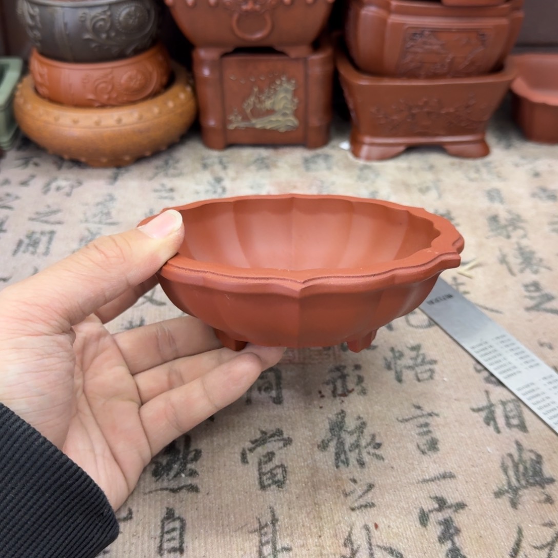 紫砂花盆宜兴紫砂正品12x3.5
