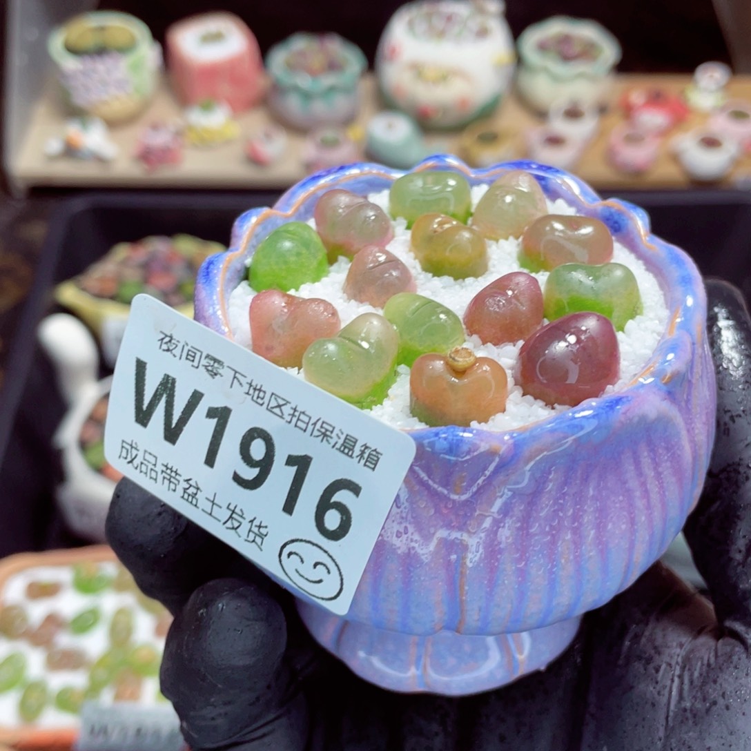 夜间零下地区拍保温箱w1916