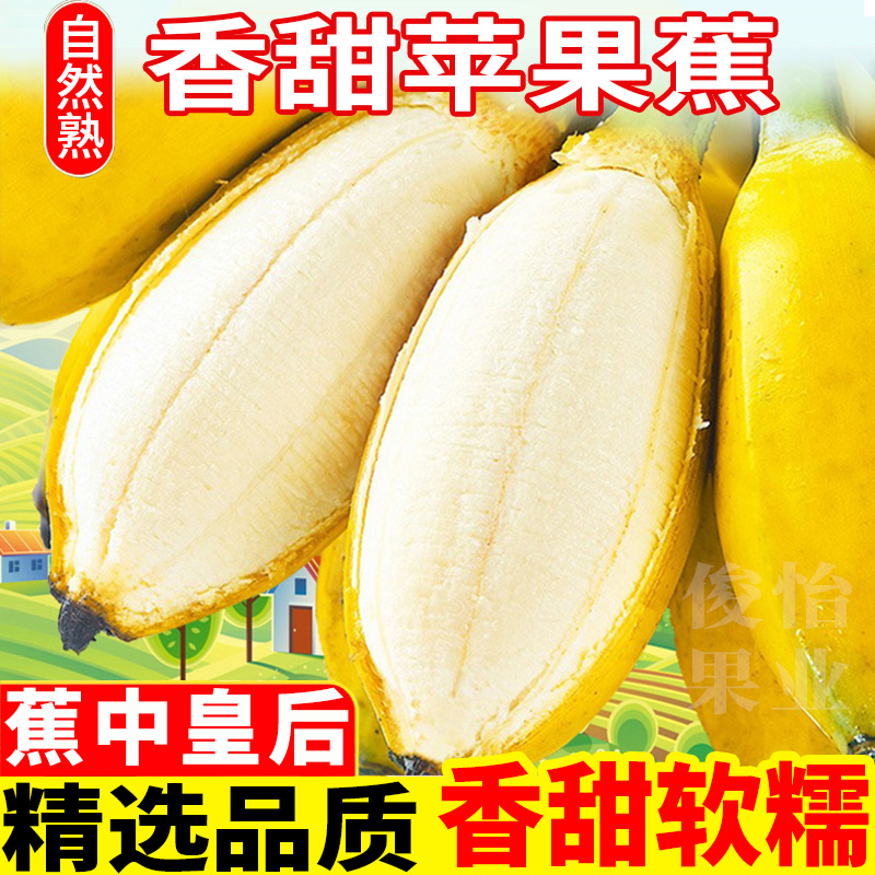 俊怡广西正宗苹果蕉粉蕉3/5/9斤新鲜当季香蕉自然放熟甜西贡芭蕉