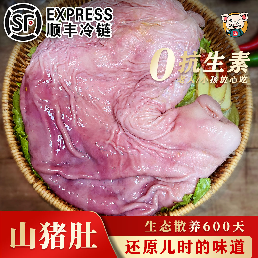 【山猪肚】正宗二代跑山猪肚新鲜黑猪肚农家散养土猪肚冷链