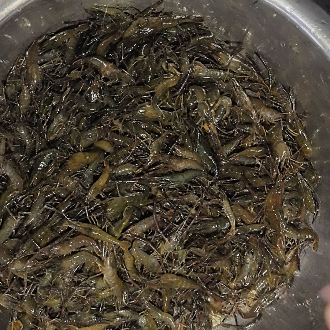 石台小李代购河虾2斤