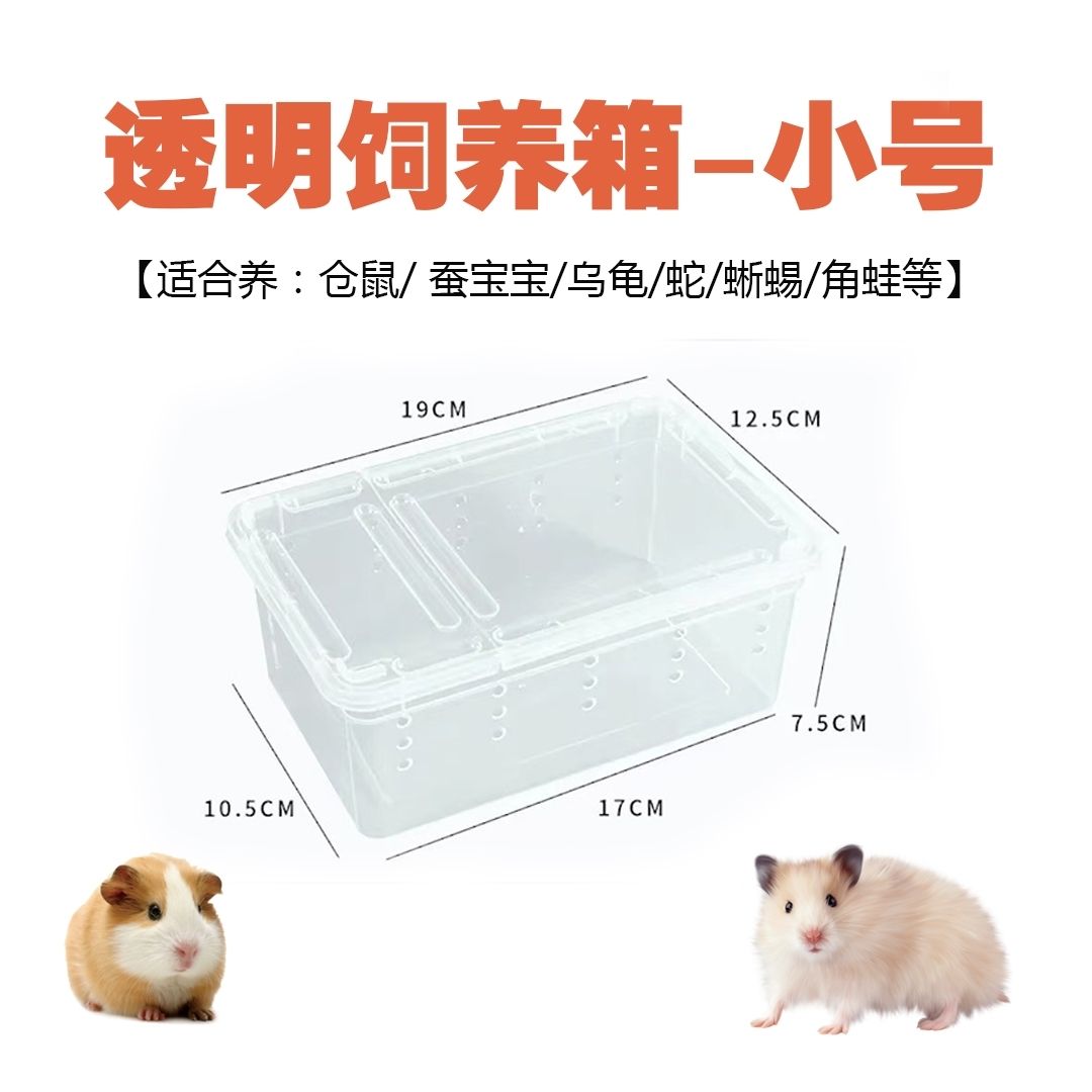 白透爬虫寄居蟹饲箱 含寄居蟹两只海盐一包，珊瑚沙200克苔藓部分
