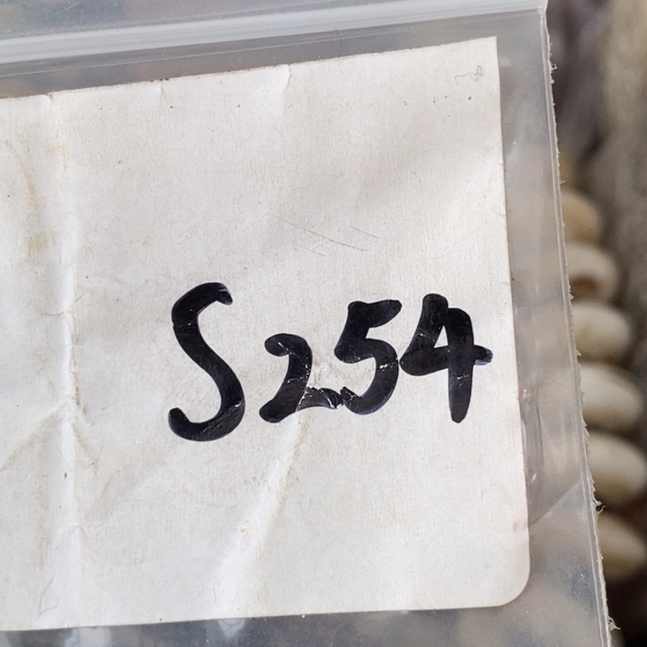 周***周金属德宝文玩专属链接