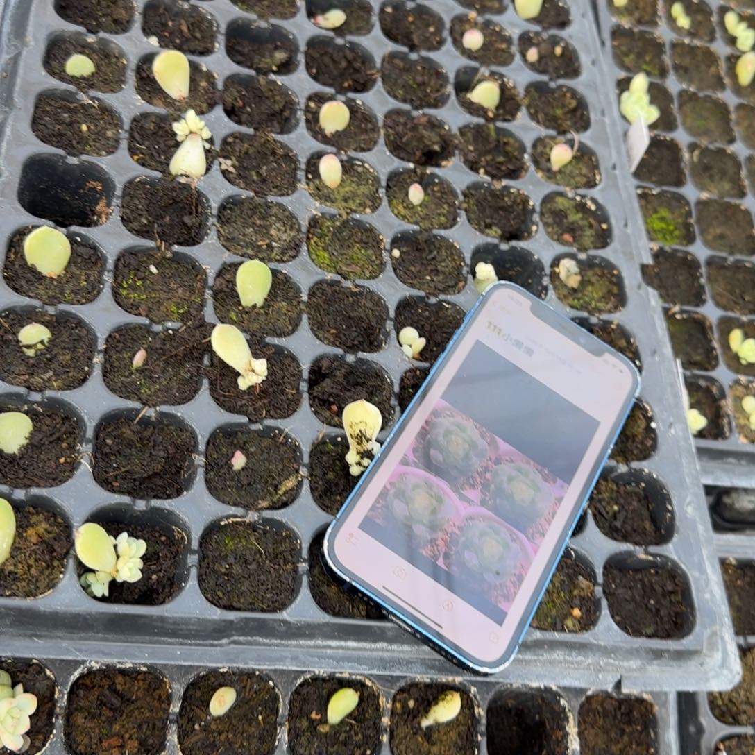 111 穴一个满25包邮