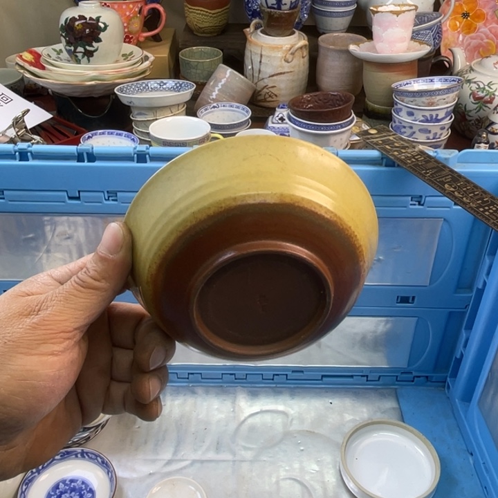 碟开播了开播了开播了