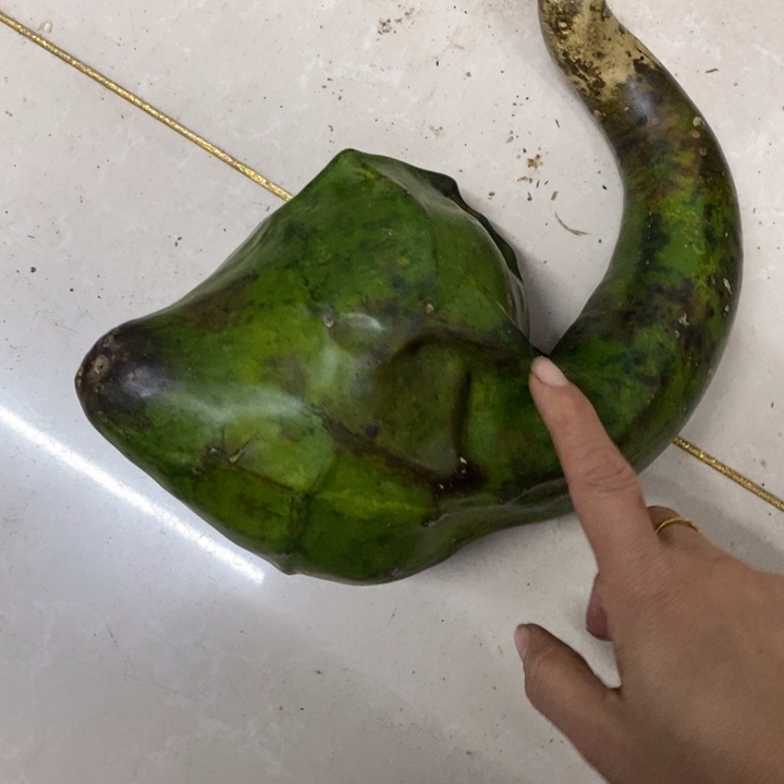 真***亮葫芦…………………………………….