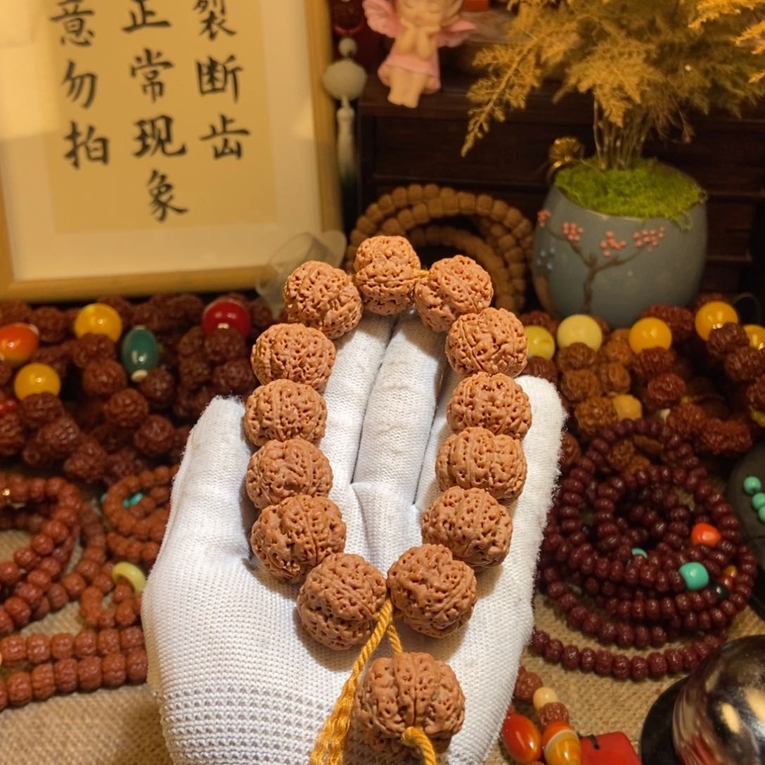 金刚菩提手串邀***傲225原籽霸王龙一物一图P