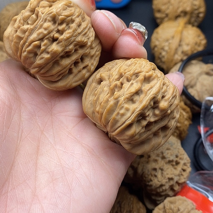 長***。龙脊菩提吊坠楼子43