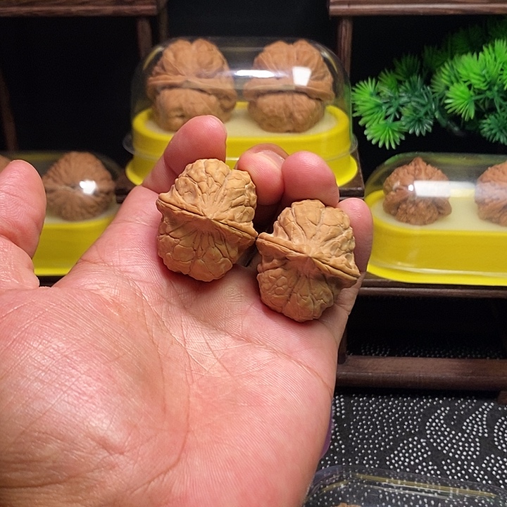 把件文玩核桃龟甲文