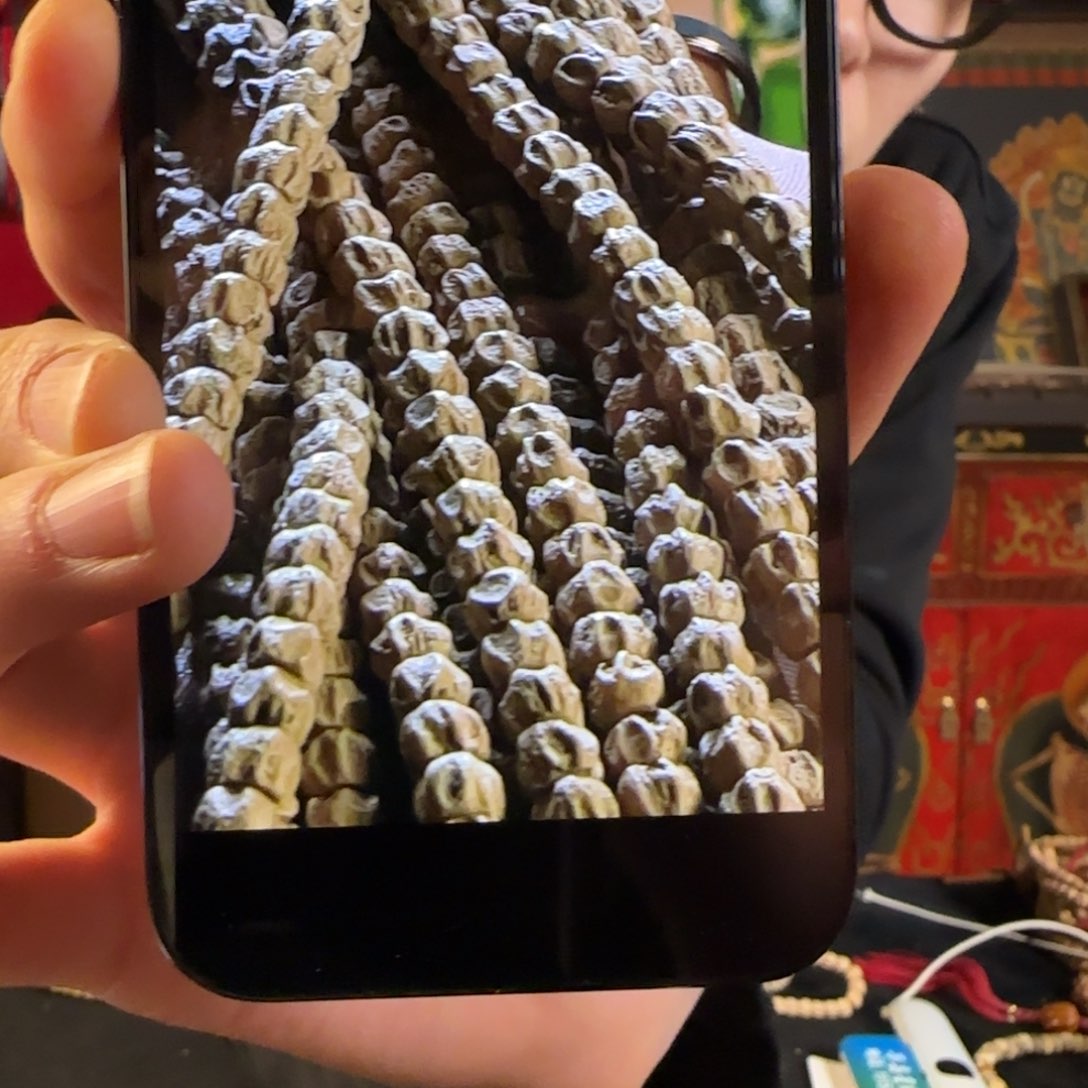 柏香籽/百香籽吊坠鬼脊
