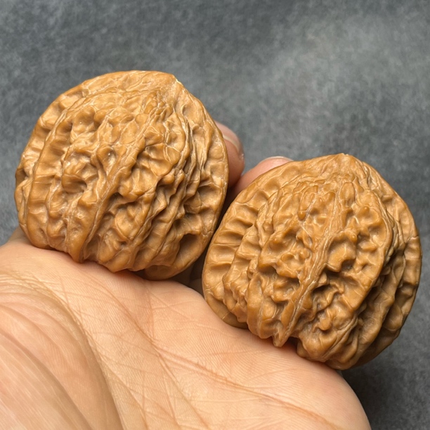 靠山王（小众)文玩核桃40左右