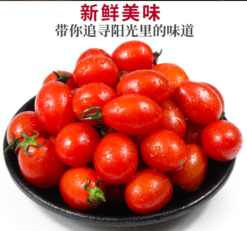 广西百色圣女果 小番茄 酸甜可口当季新鲜水果