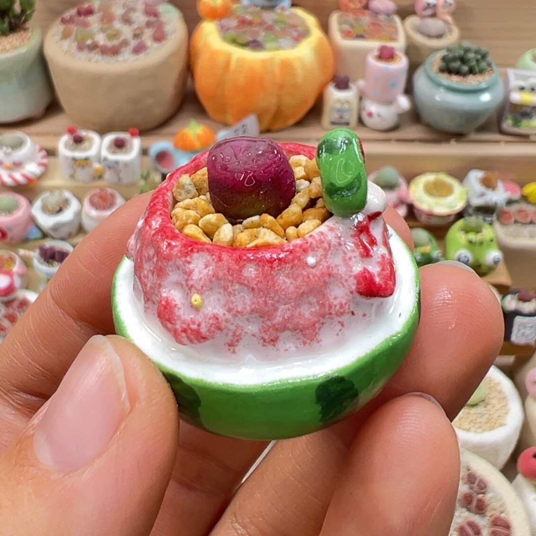 多肉植物74号拇指盆