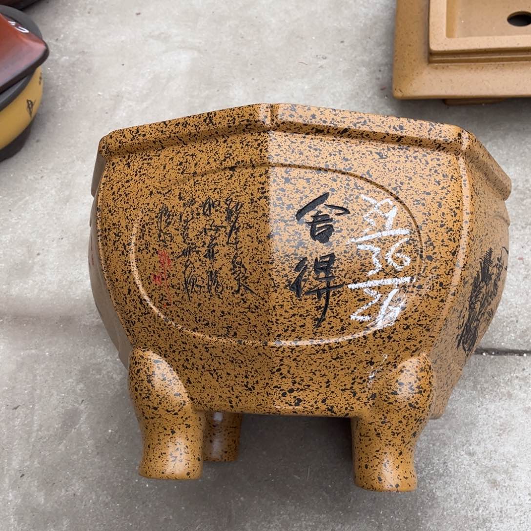 紫砂花盆盆景艺术