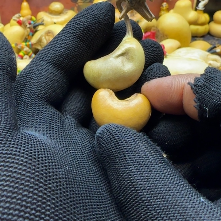 ?哈哈哈哈哈哈哈哈哈哈哈哈