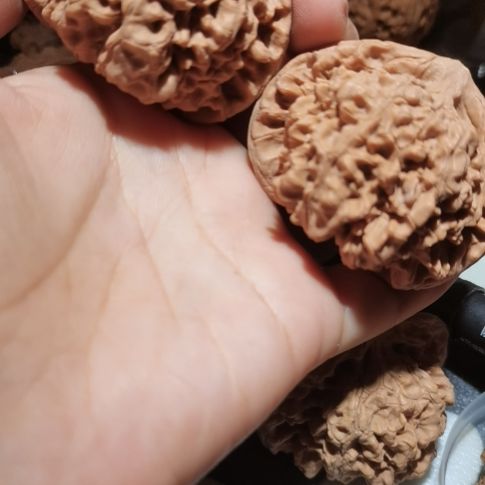 猴头核桃吊坠54龙鼎官