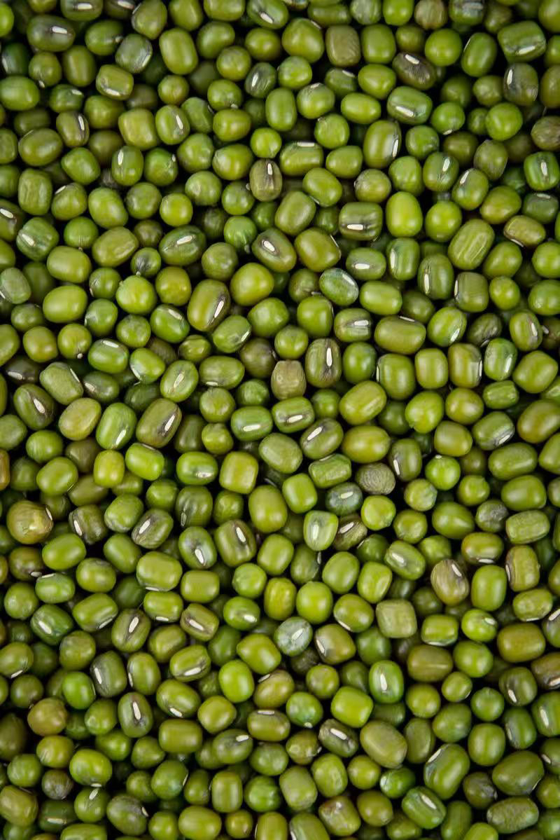 东南亚超哥直播专用链接 一物一拍非香菇