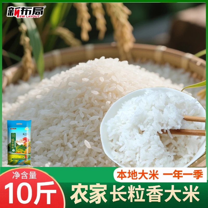 【一年一季】晚稻新米长粒米 熬粥煮饭两用大米 香甜软糯 产地直发