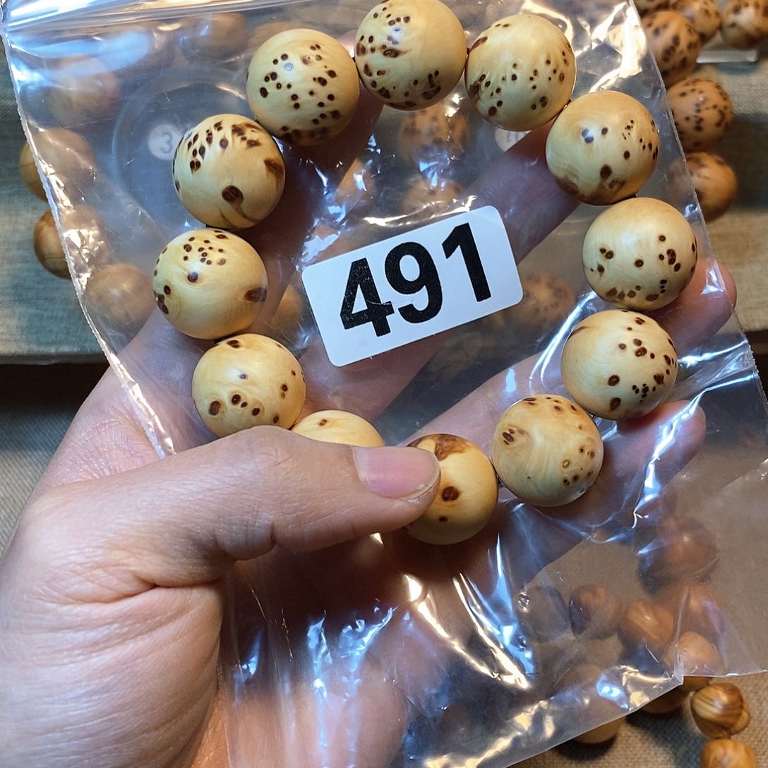 柏木（崖柏）崖柏双色2.0-491。