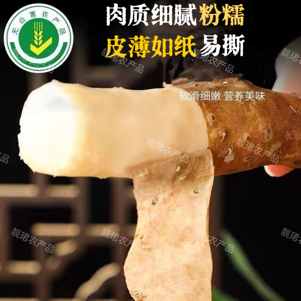 【现挖现发新鲜营养小白嘴铁棍山药】五斤装【70-90cm】特大果