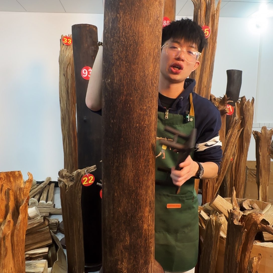 沉香木摆件天然沉香原木摆件➕底座