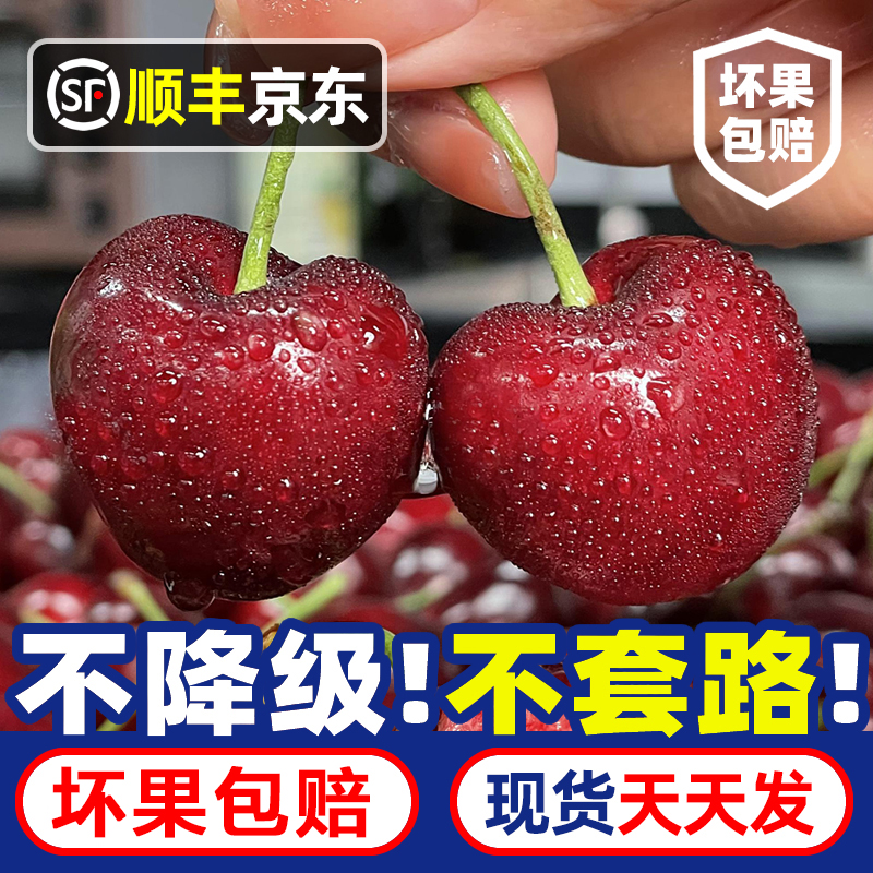 精品大果【5斤原箱】DD智利进口车厘子新鲜J-4J海运 内附果径卡