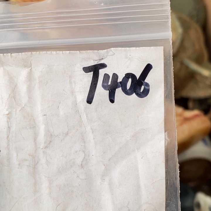 余***后德宝文玩专属链接