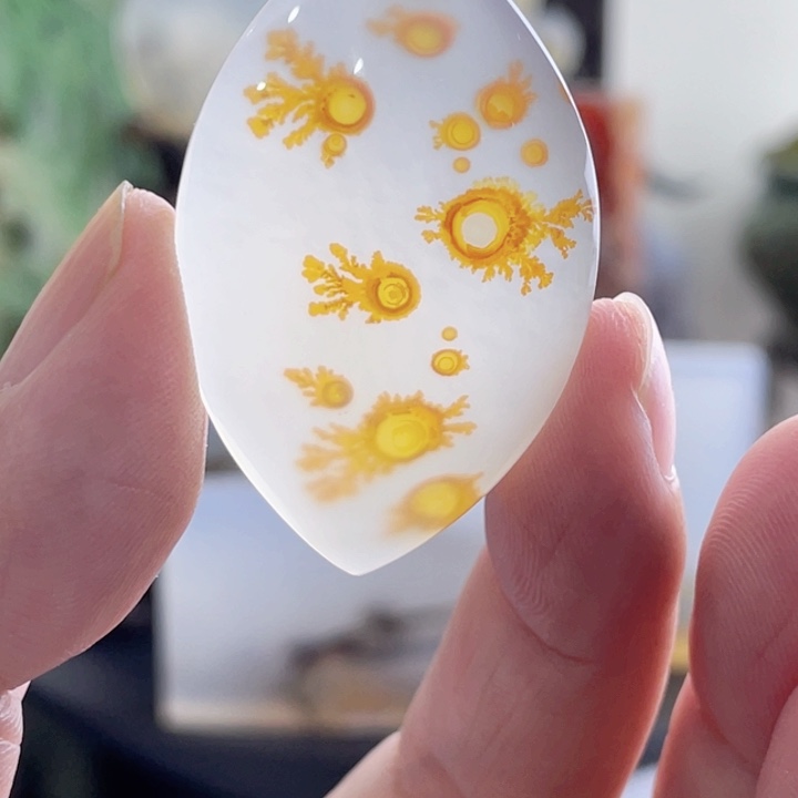 玛瑙/玉髓未镶嵌珠宝半成品