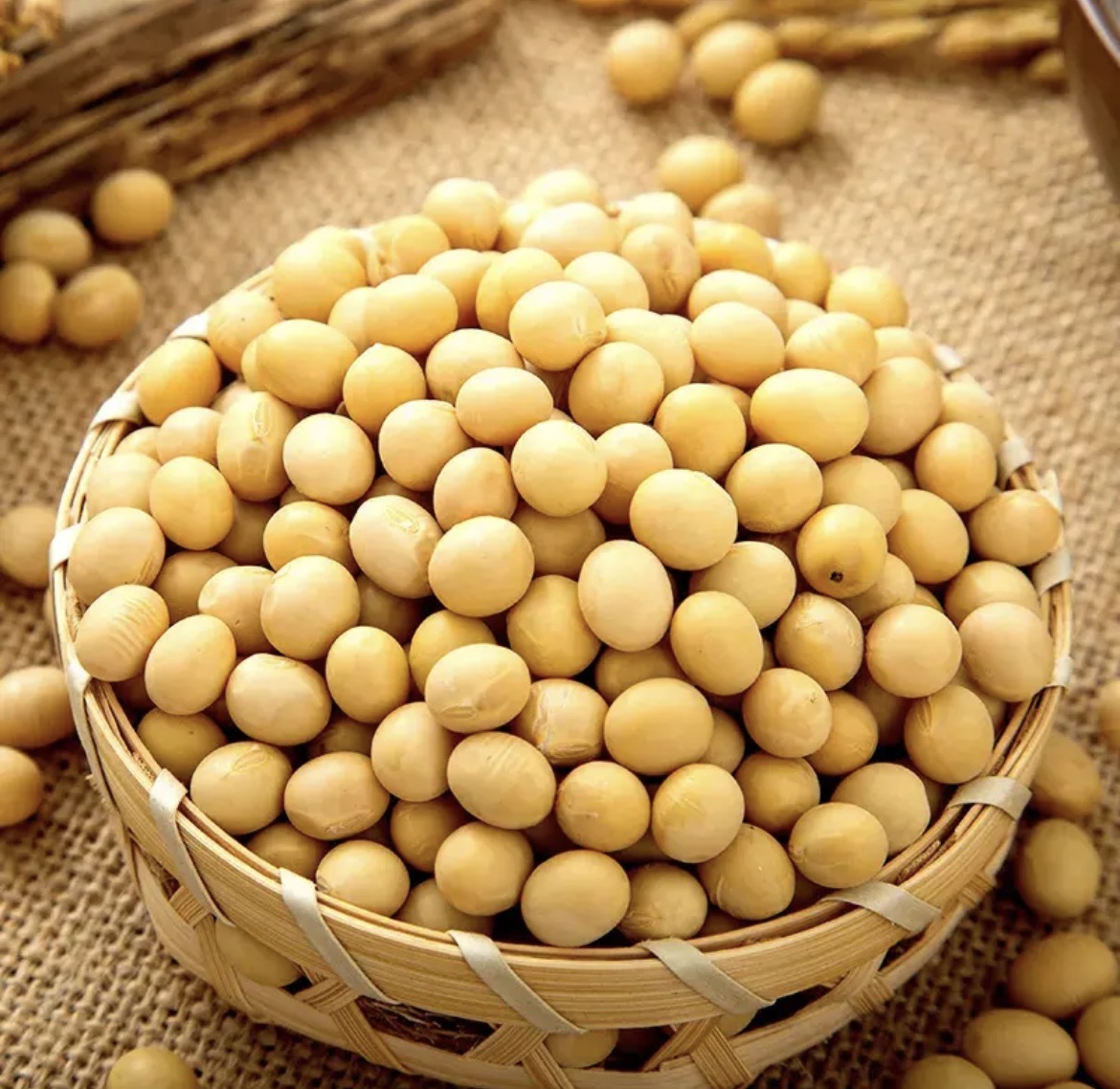 精选推荐农家黄豆