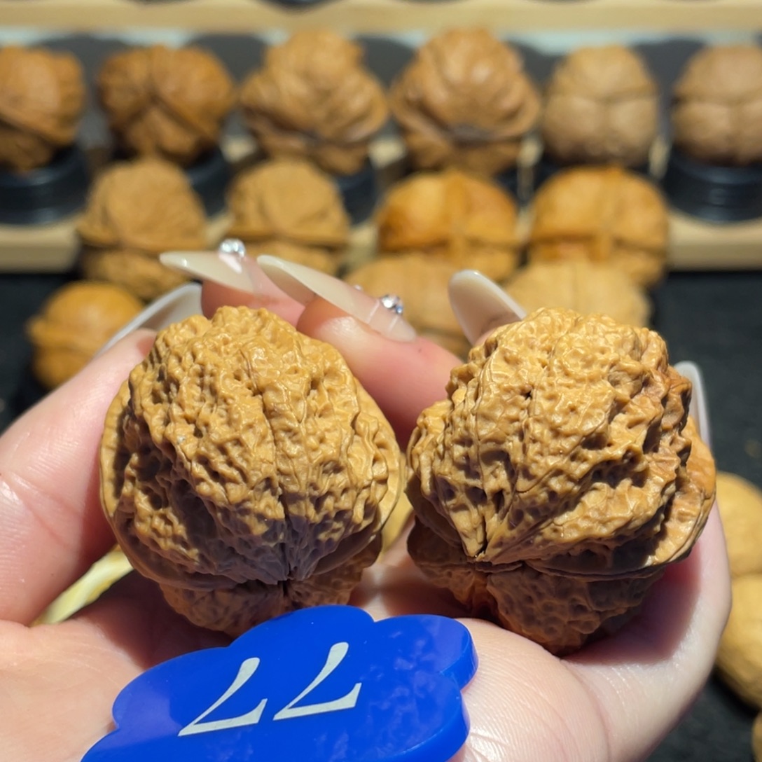 肌肉蛙核桃带彩37