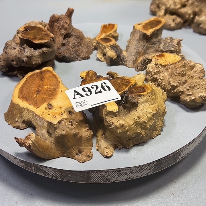 文***者大果紫檀（缅甸花梨）