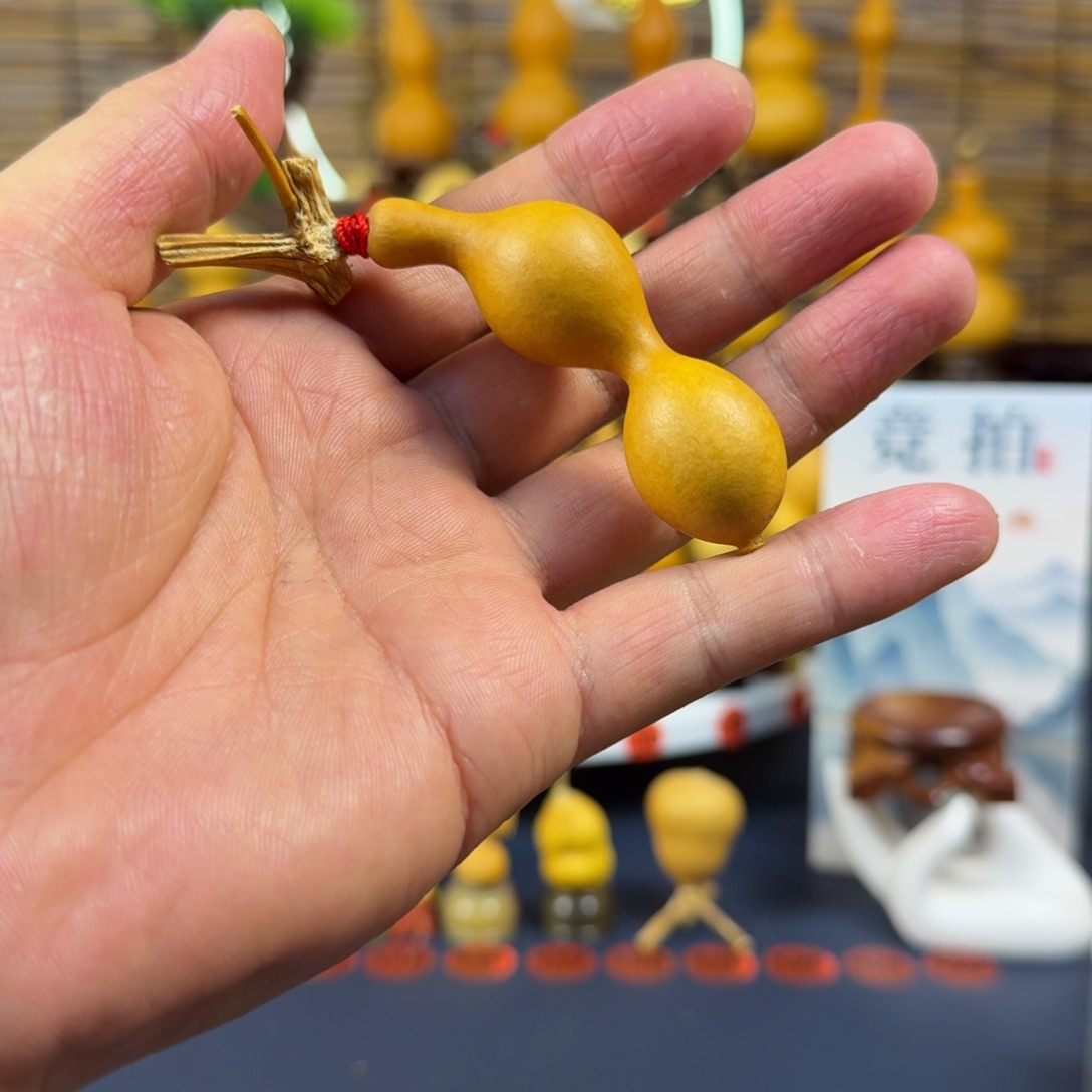 文玩葫芦绿皮蚂蚁高度五公分
