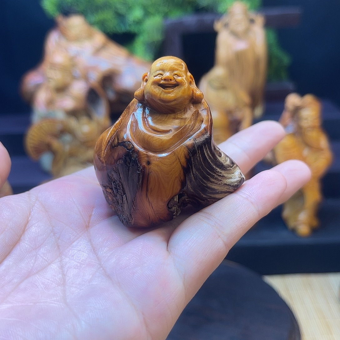 柏木88888888888888