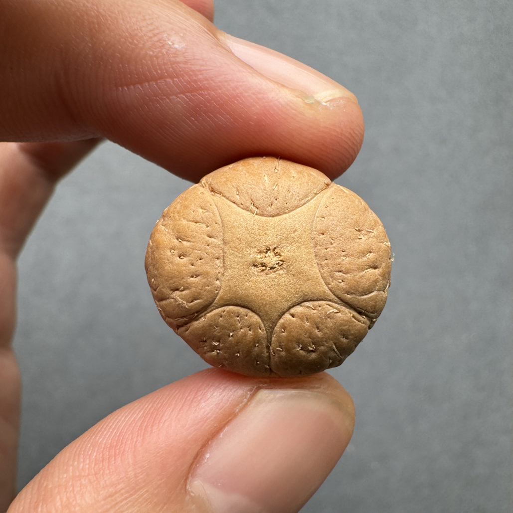 精品21+五星上将菩提凤眼菩提三通佛头，非质量问题开孔不退
