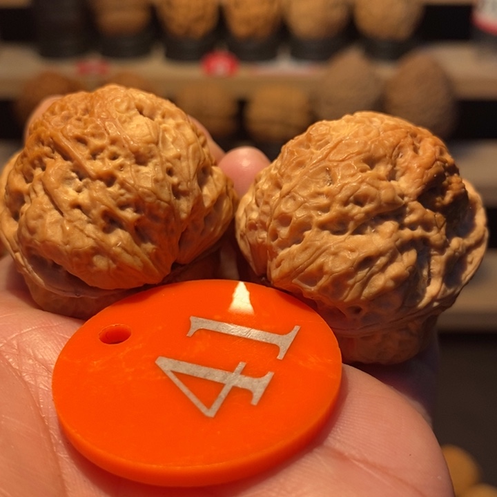 相***沫木质类七彩八宝蟾38尺寸