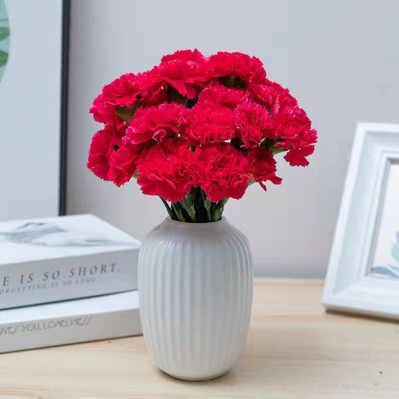 云南基地直发鲜花康乃馨母亲节用花家用鲜花鲜切花同城速递包邮