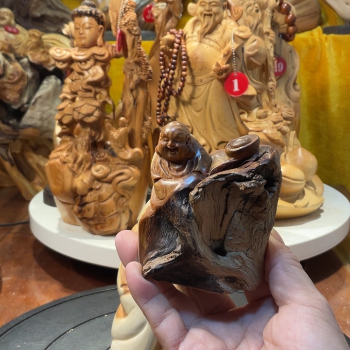 柏木（崖柏）崖柏 弥勒