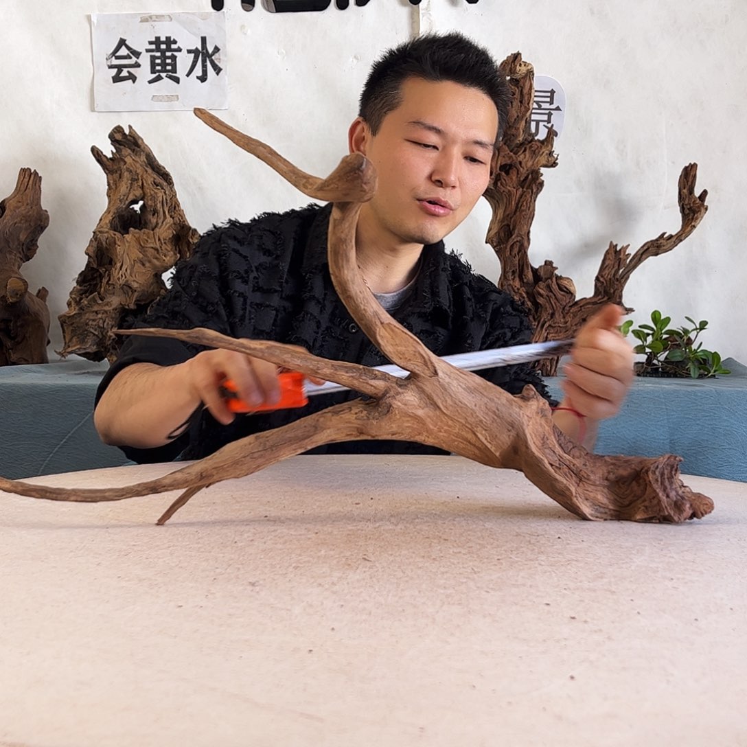 65,33.16 沉木造景爬宠造景