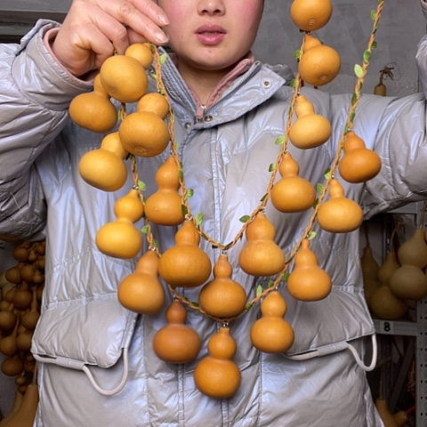 天然植物葫芦文玩