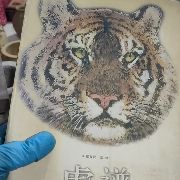 不***卡杂色豆（科檀/科特迪瓦檀木）