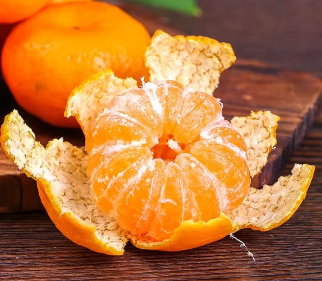 正宗广西桂林金秋砂糖橘