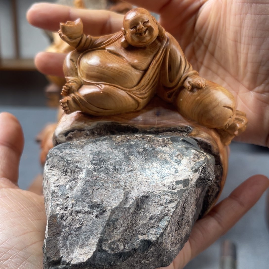 柏木（崖柏）崖柏太行山脉