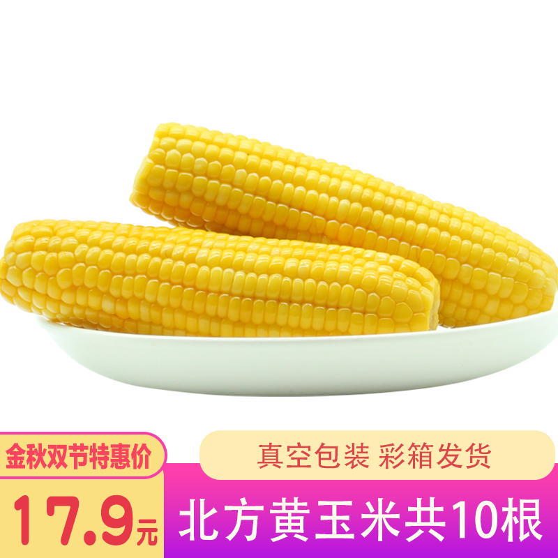 【北方头茬】黄玉米10根 工厂直发单根240-280g一箱10根包邮糯玉米