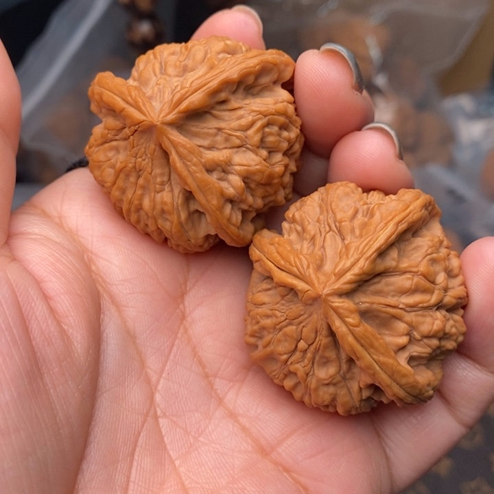 文玩核桃把件野生龙爪三棱40尺核桃